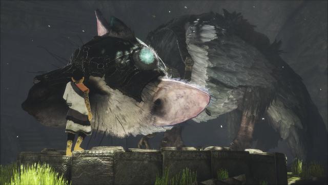 The Last Guardian Delayed Again, Because Of Course