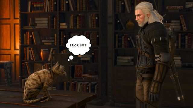 The Witcher 3’s Cats All Hate Me