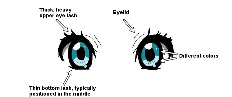 A Serious Look At Big Anime Eyes