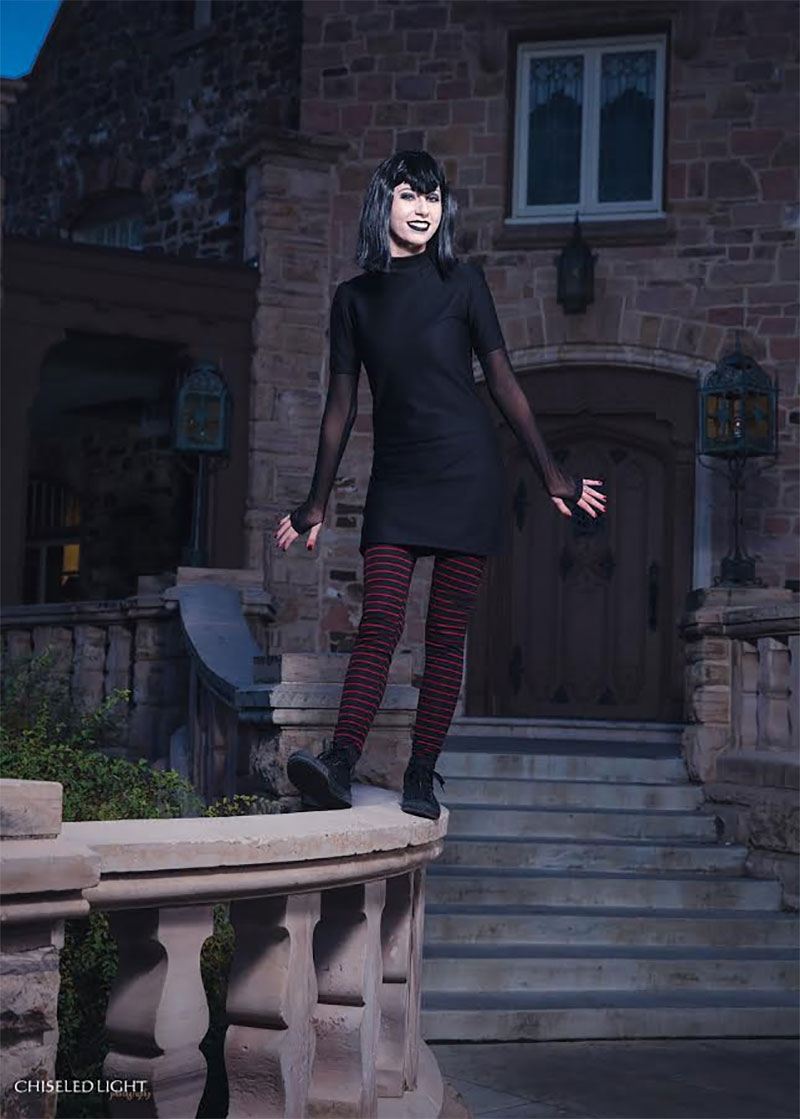 Welcome To The Hotel Transylvania