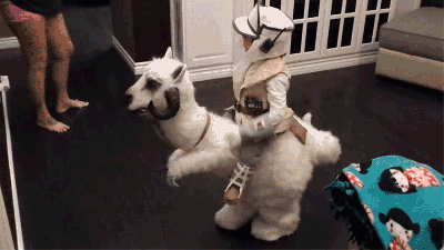 It’s Going To Be Heartbreaking When This Kid Has To Cut Open His Adorable Tauntaun Costume