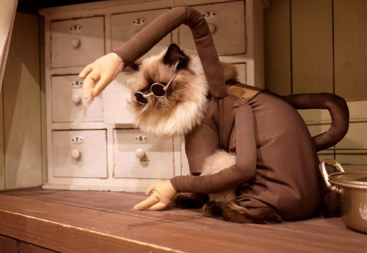 For Cat Cosplay, This Is Pretty Good