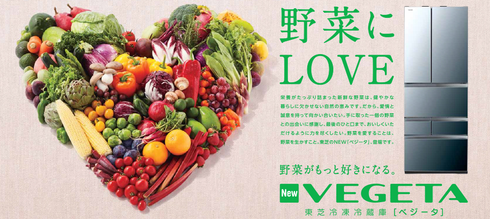 Japan Has Vegeta Refrigerators 