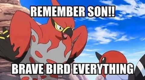 The Rise And Fall Of Competitive Pokemon’s Most Hated Bird, Talonflame