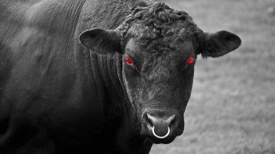 Diablo’s Killer Cows Are All Our Fault