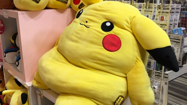 Pikachu In Real Life