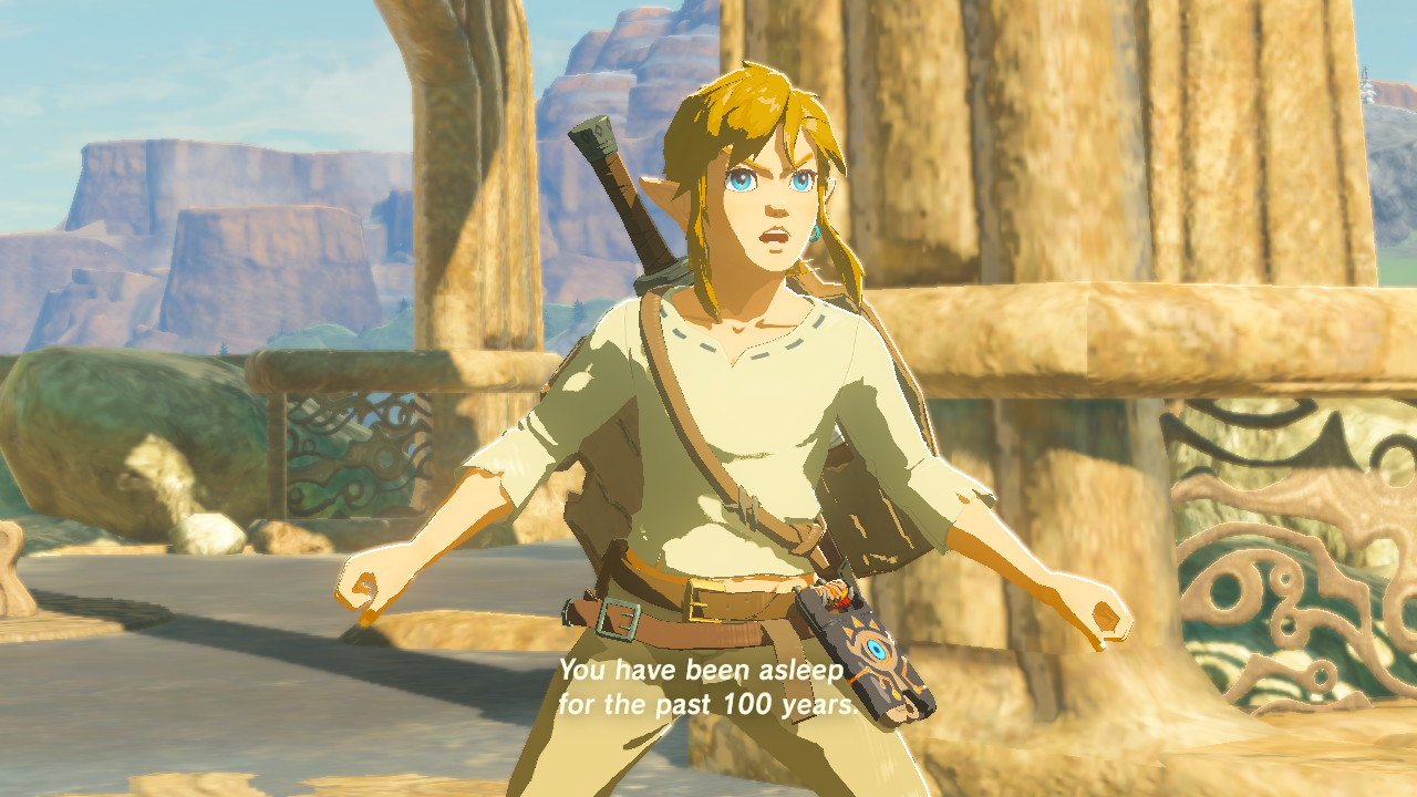 SS] Let's be honest, this is the only canon Zelda x Link. : r/zelda