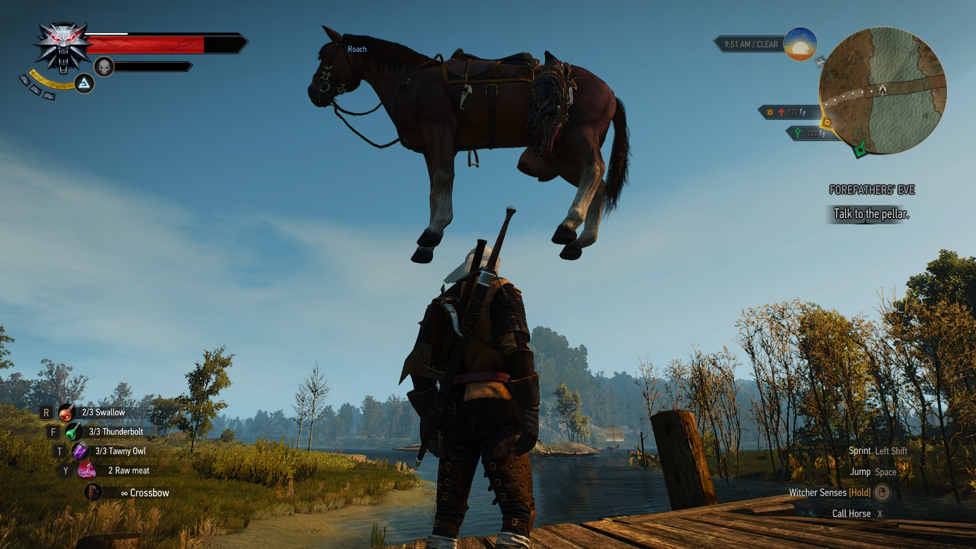 Glitchy Roach Card Is Too Good Not To Leave In The Witcher 3’s Gwent Spinoff