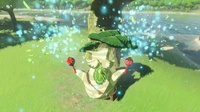 Someone Has Found All 900 Korok Seeds In Zelda