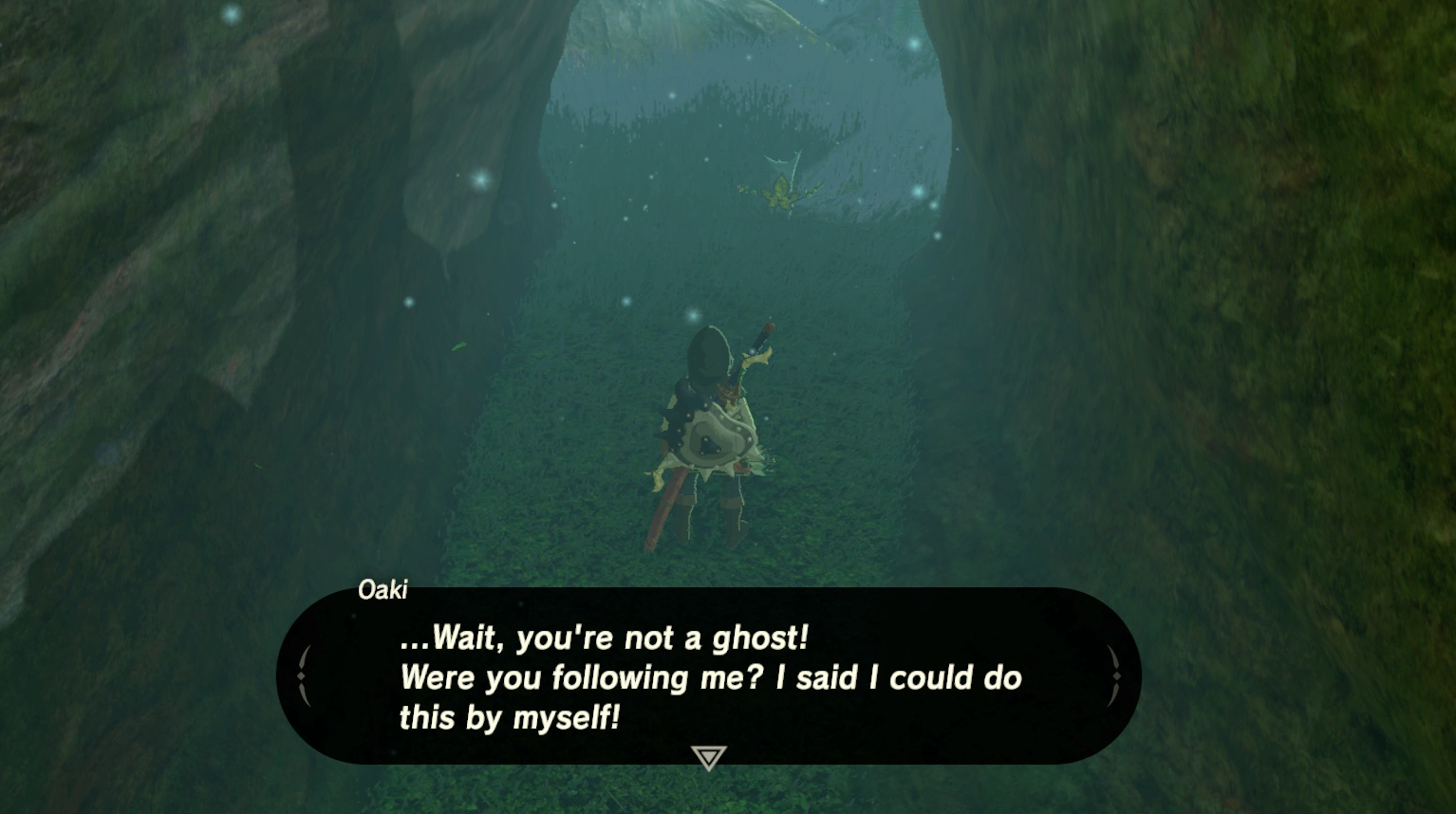 The Worst Mission In The Legend Of Zelda: Breath Of The Wild