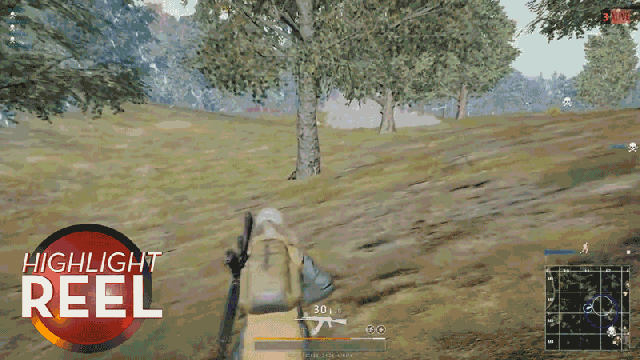Battlegrounds Player Has Mastered The Art Of Camouflage