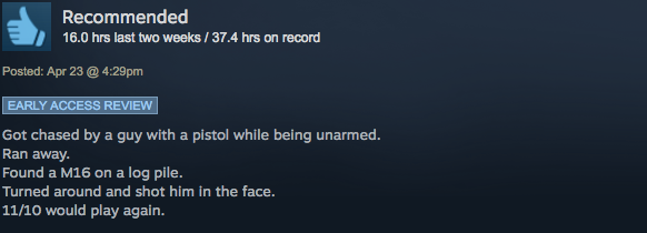 Battlegrounds, As Told By Steam Reviews