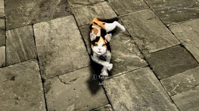 Five Skyrim And Fallout Mods That Fix Obvious Cat Problems