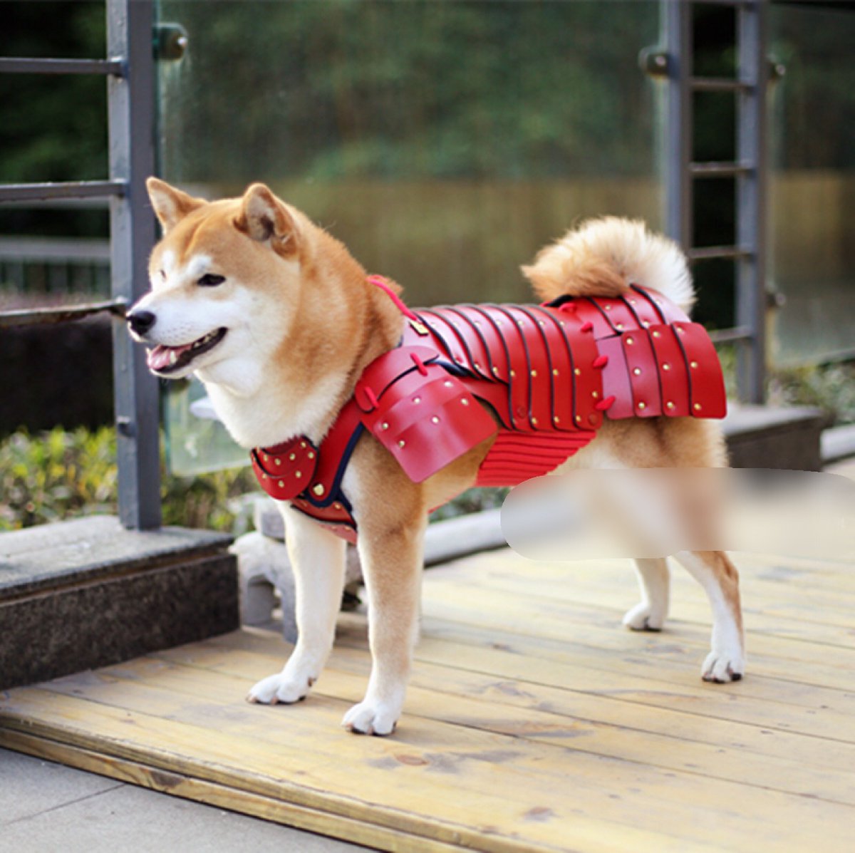 Japan Creates Samurai Armour For Cats And Dogs