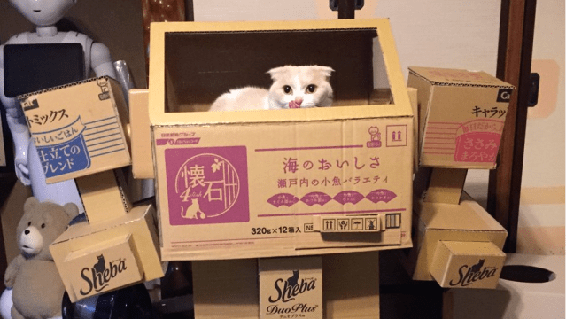 A Cardboard Mecha For A Cat