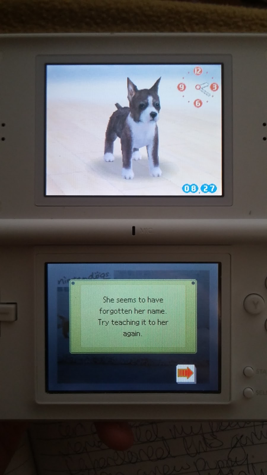 Abandoned Nintendogs Found Alive After Almost 10 Years