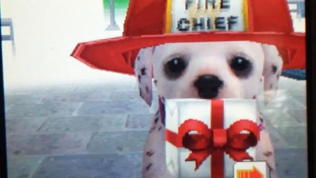 Abandoned Nintendogs Found Alive After Almost 10 Years