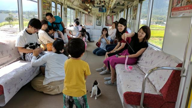 The World’s First Cat Cafe On A Train