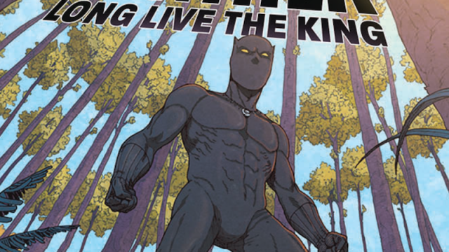 The World Of Wakanda’s Getting Bigger In Marvel’s New Black Panther: Long Live The King Comic