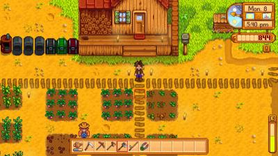 In Stardew Valley, Ignorance Can Be Bliss