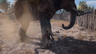 Assassin’s Creed Origins Player Tries To Kill A War Elephant With Their Bare Hands