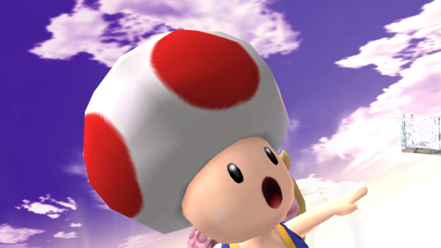 The Investigation Into Toad’s Head Continues 