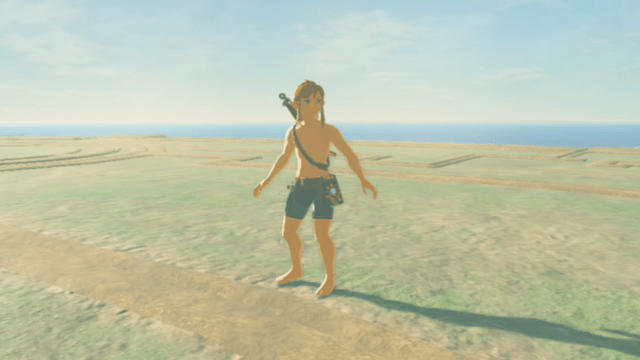 Someone Beat The Zelda DLC’s Boss Naked And With Three Hearts