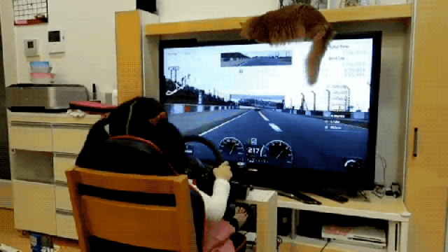 For A 5-Year-Old, This Kid Is Pretty Good At Gran Turismo