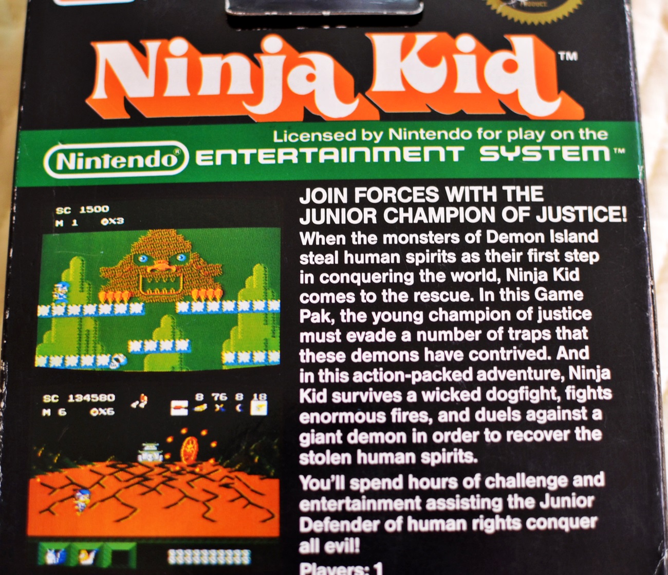 Ninja Kid Was My Very First Video Game