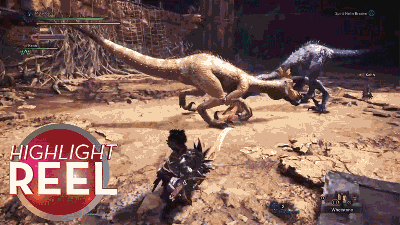 Monster Hunter Player Kills Two With One Blow