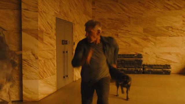 It’s Official: Deckard’s Dog In Blade Runner 2049 Is The Best Dog