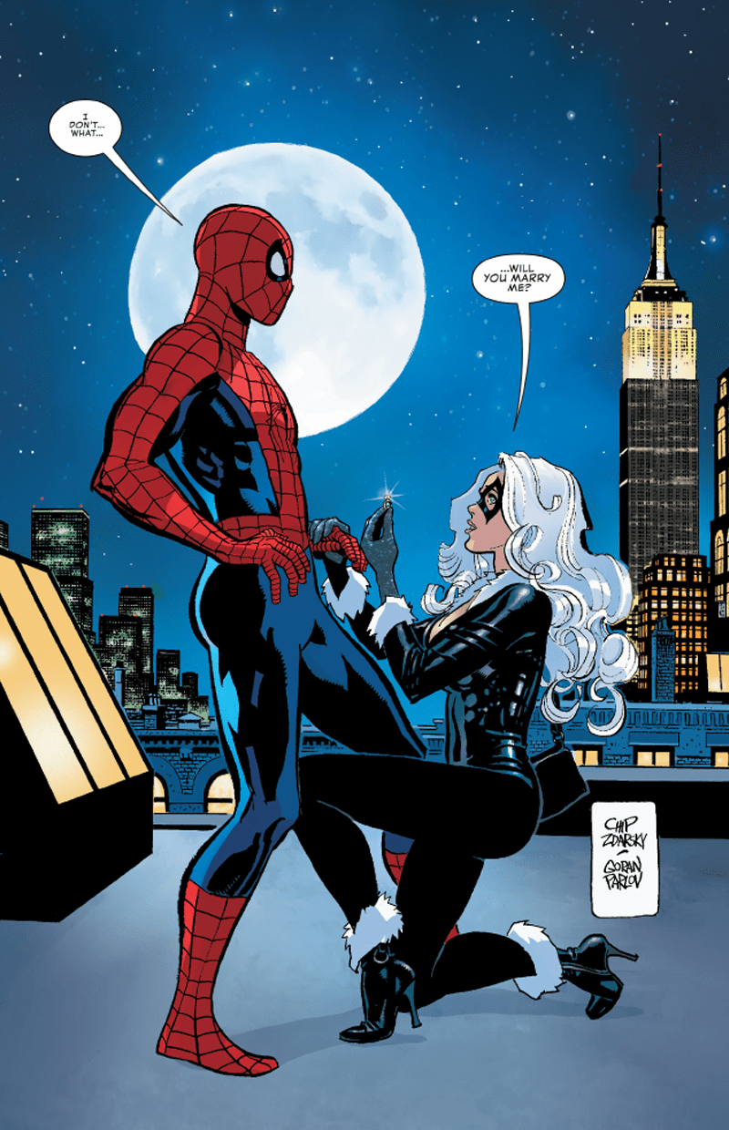 Turns Out Black Cat Is One Hell Of A Troll