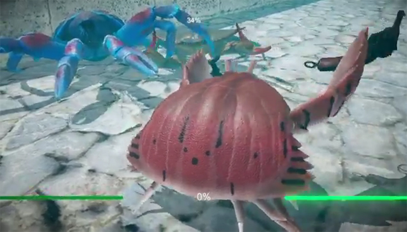 Crab Battles Get Turned Into A Real Video Game