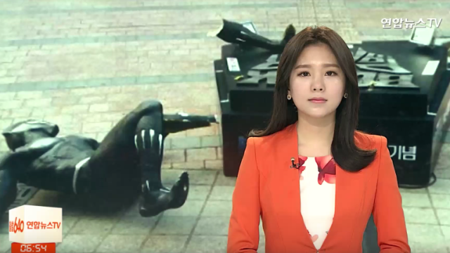 Black Panther Statue Destroyed In South Korea, Possibly By A Drunk Person
