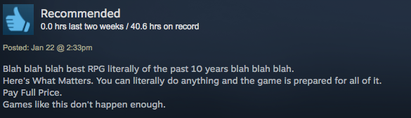 Divinity: Original Sin 2, As Told By Steam Reviews
