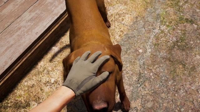 Far Cry 5 Has Some Very Good Dogs