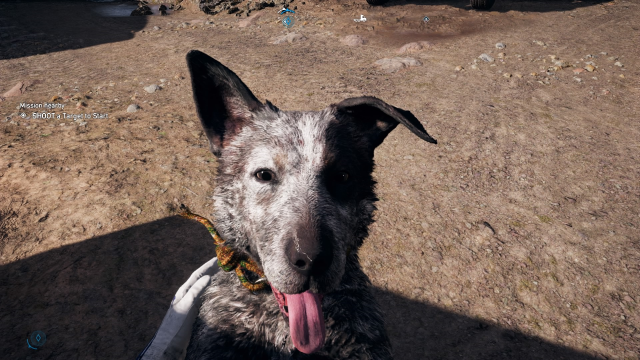 Hey Ubisoft, Let Far Cry 5’s Dog Ride In The Car