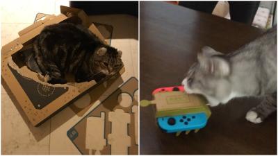 Cats Vs. Nintendo Labo
