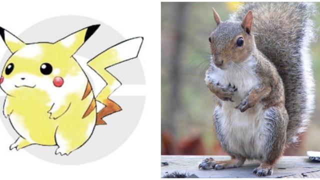 Pikachu Wasn’t Based On A Mouse, But A Squirrel 