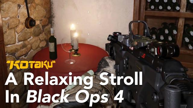 A Relaxing Stroll In Call of Duty: Black Ops 4