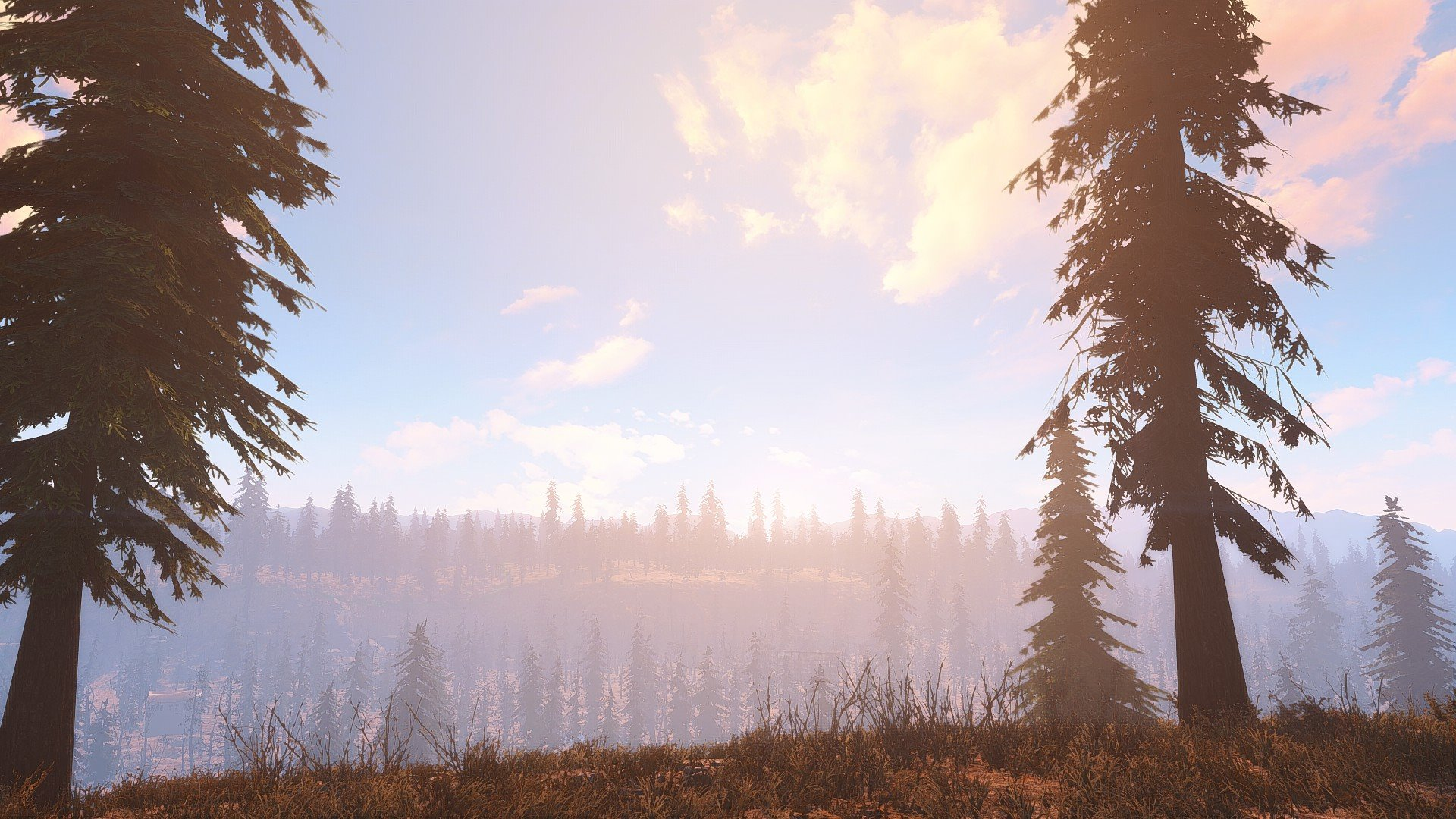 Fallout: Cascadia Fan Project Looks To Bring Nature Back To The Wasteland