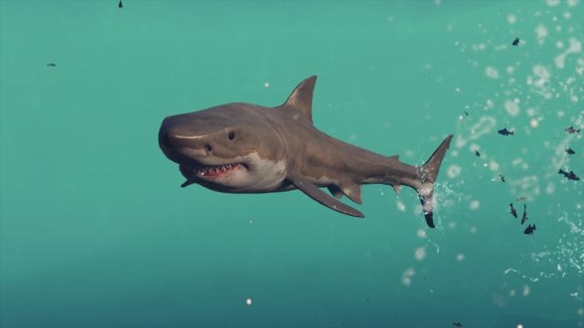 Assassin’s Creed Odyssey’s Sharks Are Killing Me