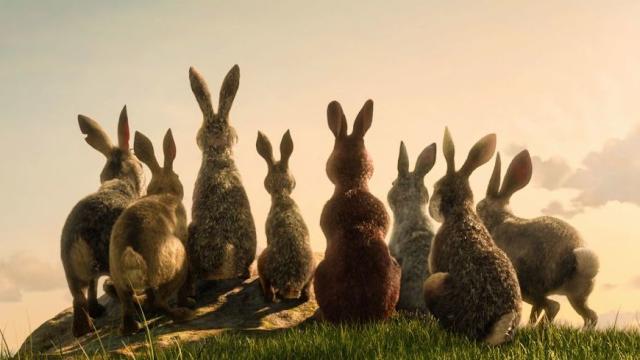 James McAvoy Leads A Star-Studded Rabbit Rebellion In The First Trailer For Watership Down