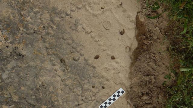 Archaeologist Discovers 4,000-Year-Old Version Of Ancient Board Game
