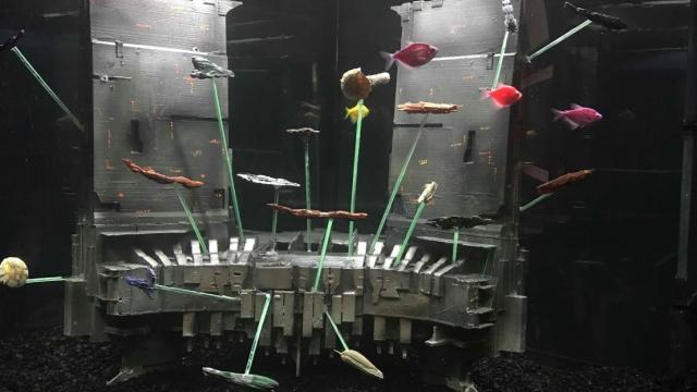 Yes, This Is A Custom EVE Online Fish Tank