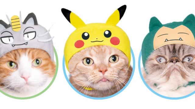 Pokémon Cosplay Has Gotten Easier For Cats