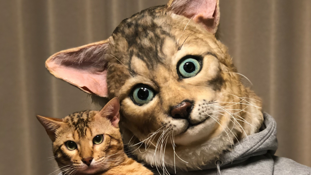 Turn Your Cat’s Face Into A Wearable Mask
