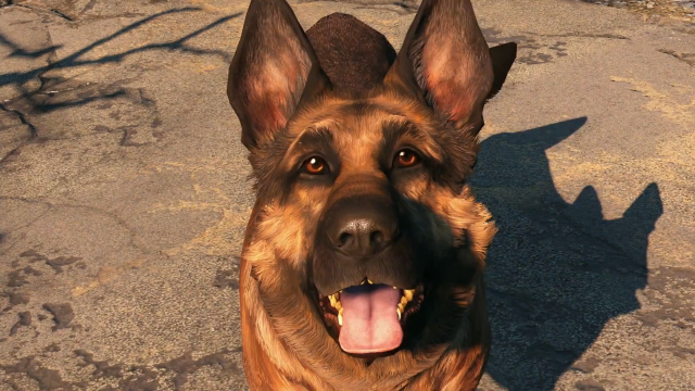 Twitter Account Asks The All-Important Video Game Question: Can You Pet The Dog?