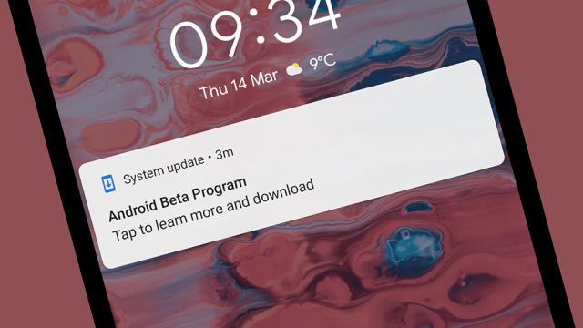 15 New Features We’ve Already Spotted In The Android Q Beta