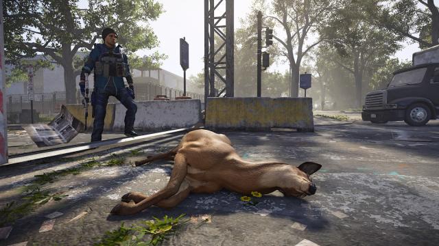 Should A Dead Deer In The Division 2 Drop Meat?